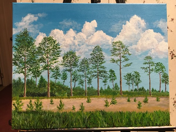 Pines on the Prairie