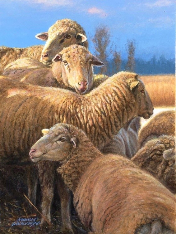 Counting Sheep