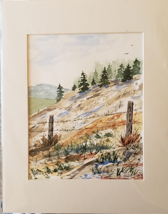 High Country Fence