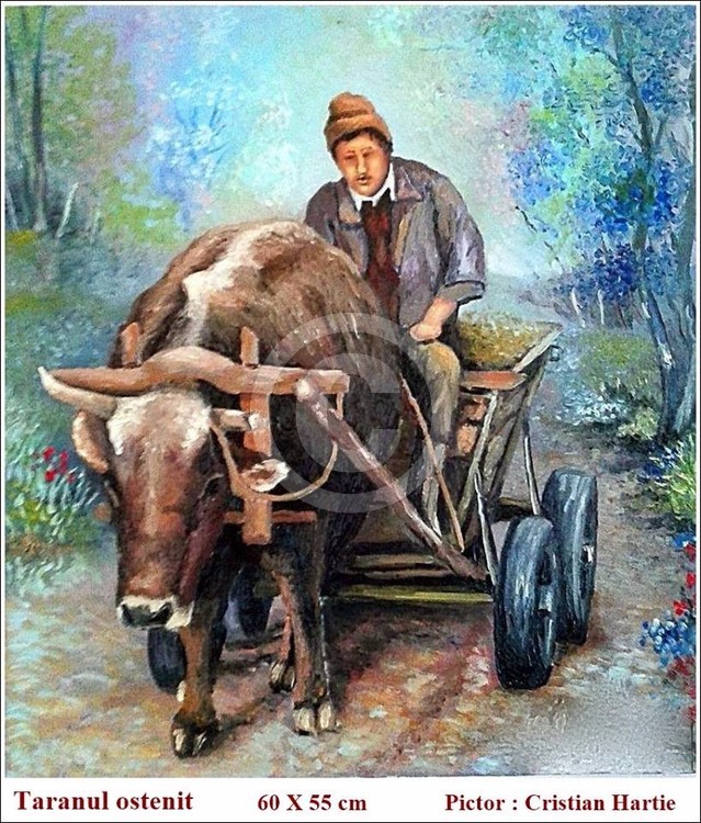 Taranul ostenit