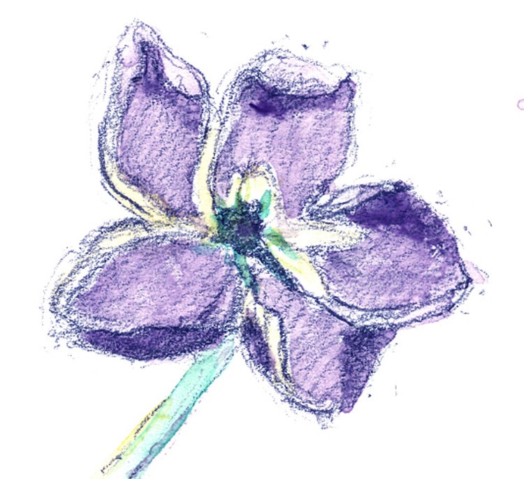 Blue-Eyed Grass Watercolor Sketch