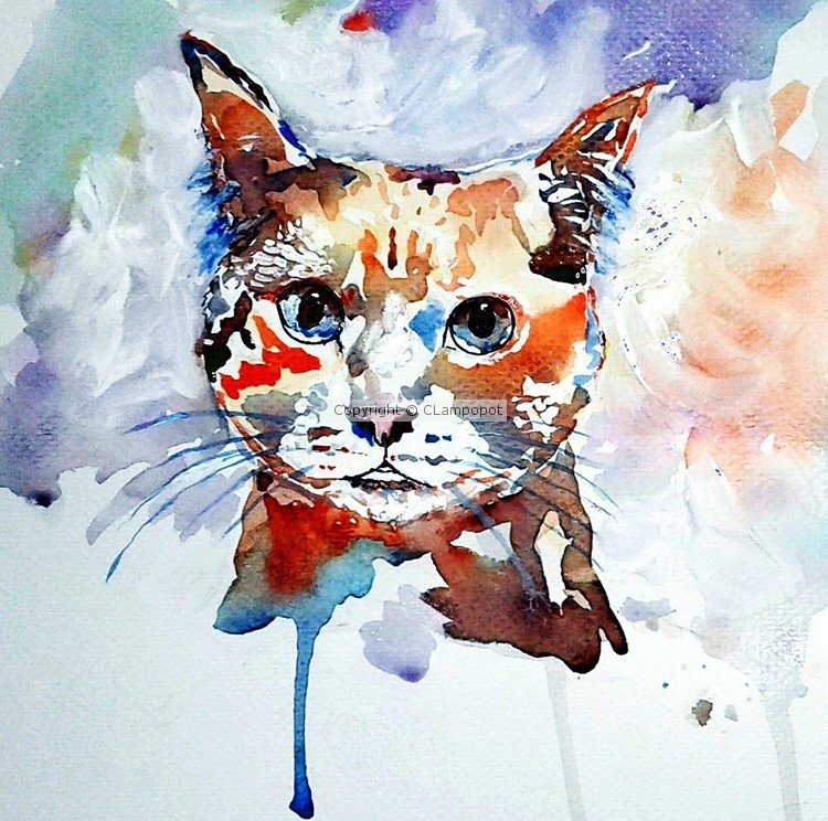 Cattfriend