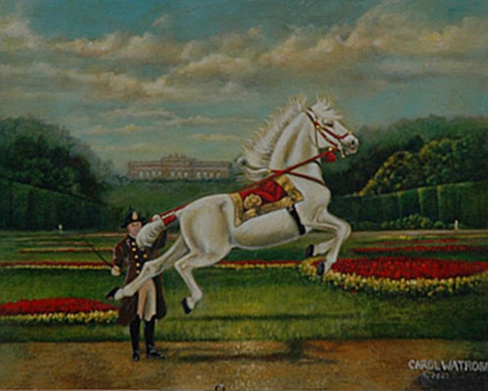  Lipizzan at the Vienna Gloriette