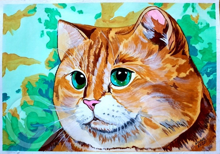 Cat