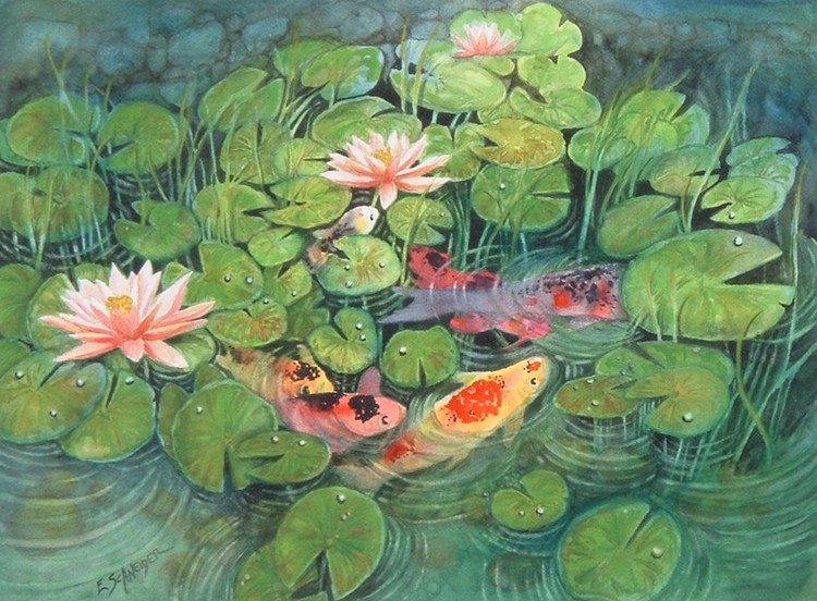 Koi Lily Pond
