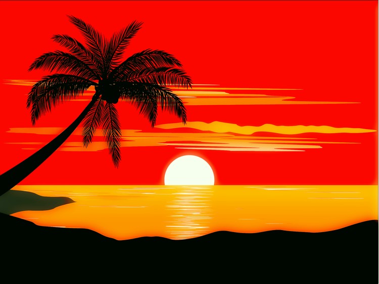 coconut tree at beach