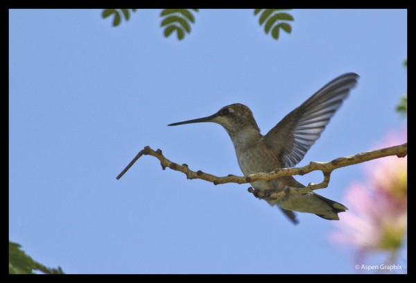Landing