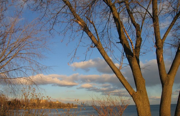 Winter view of Toronto city skyline 