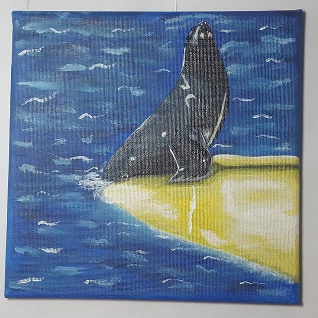 Sea lions