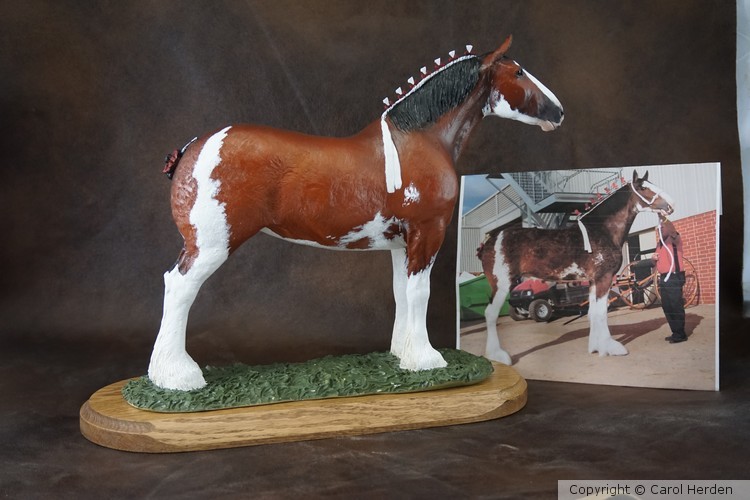 Clydesdale 