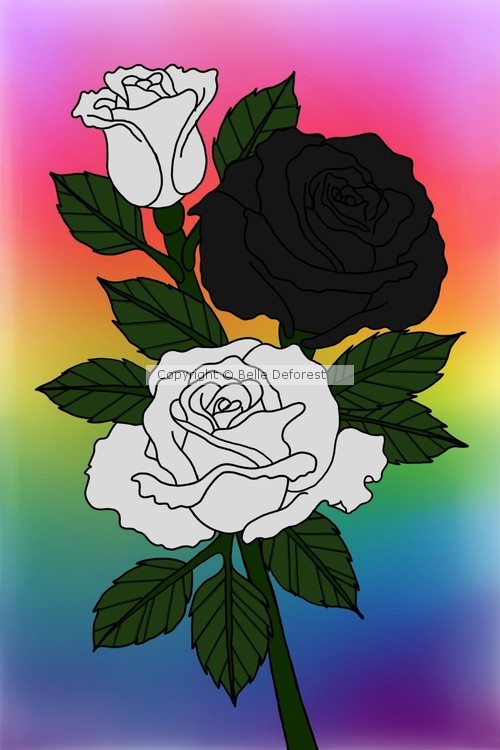 Rainbow Roses