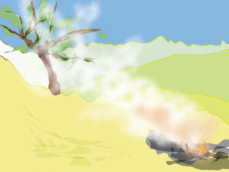 burning weeds