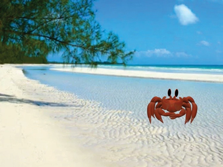 Crab