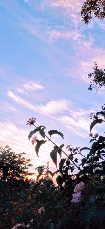 warm spring day