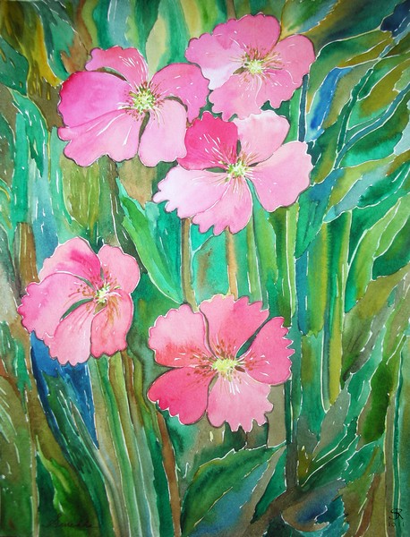 Pinkish Wildflowers