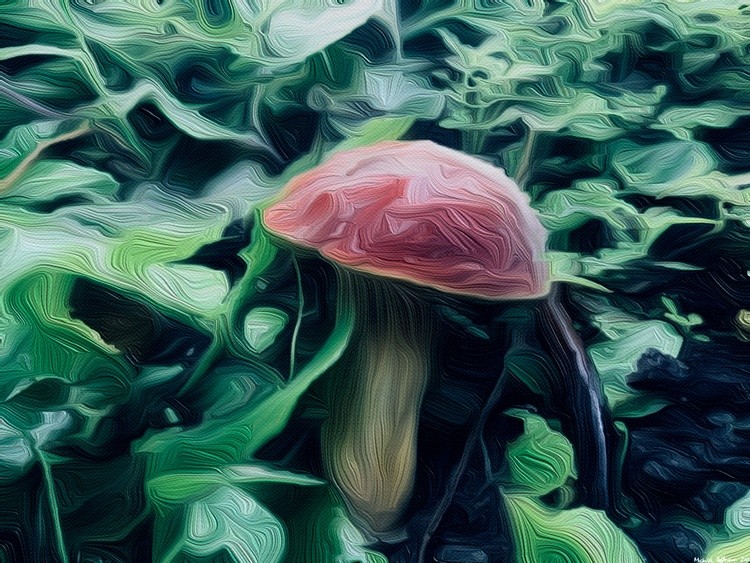 Mushroom