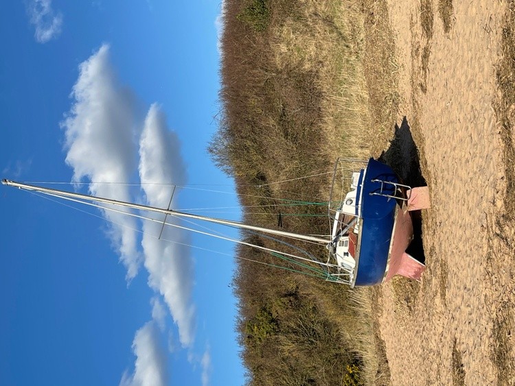 Beached