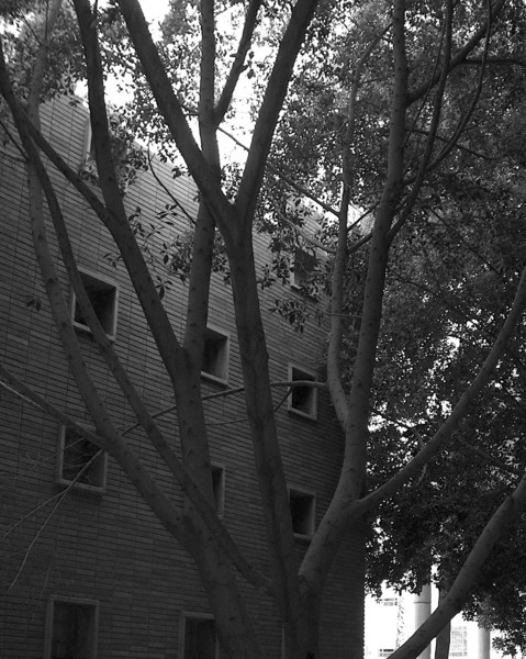 Branching Out