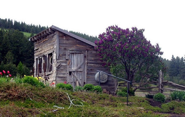 Rustic Spring