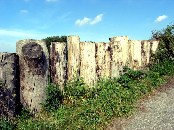 NatureBlock