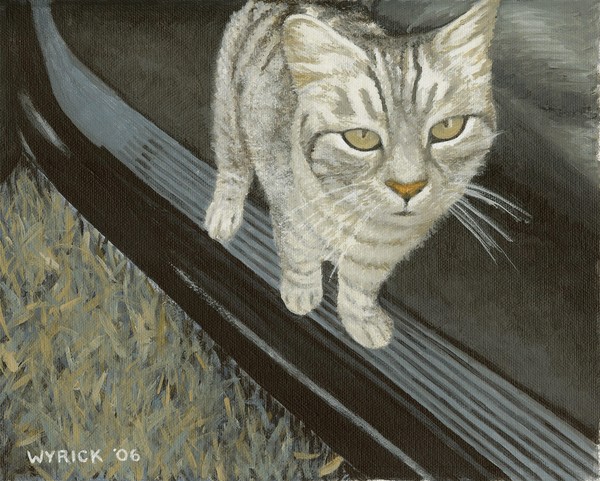 George, the Cat