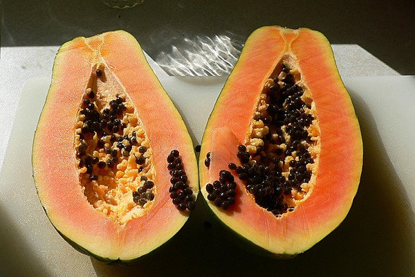Papaya