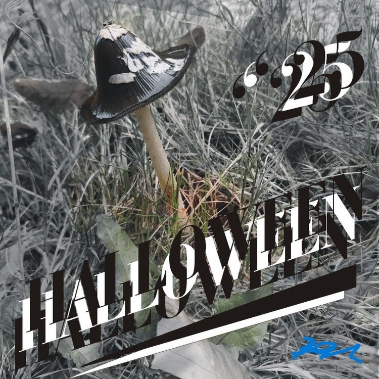 HALLOW25