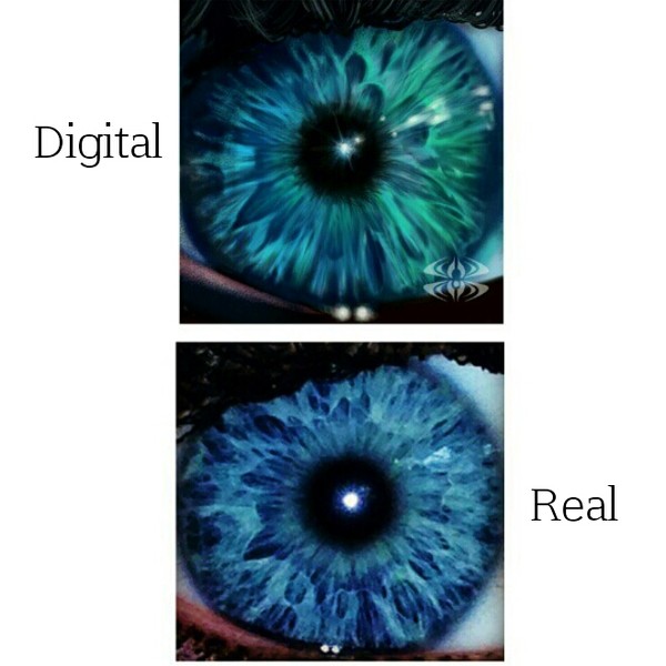 Eye study 5