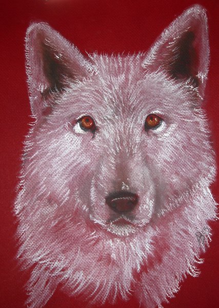 Wolf1
