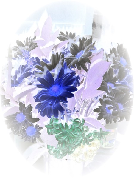 Daisey Bouquet