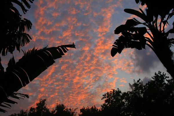 Sunset Sky