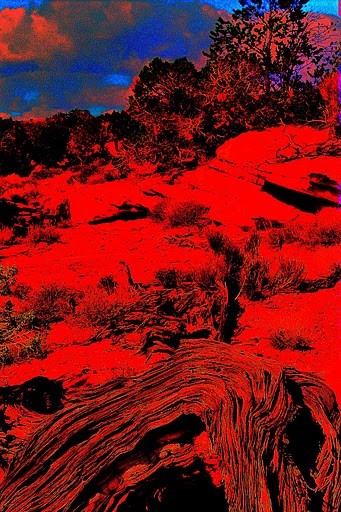  moab  photo