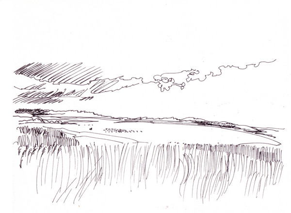 Fiord road