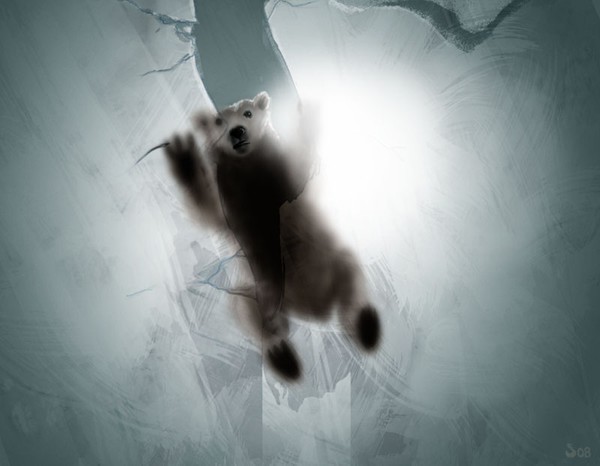 Polar bear