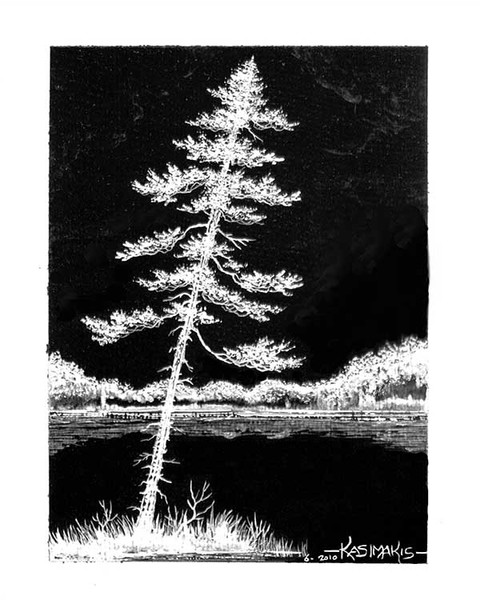 White Pine