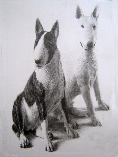 Dogs