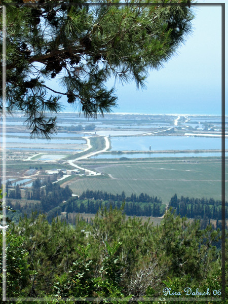 The Landscapes of Zichron Ya'aakov