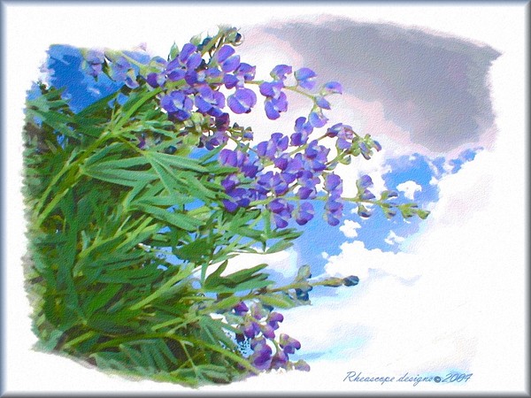 Water colors