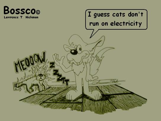 Electricity and cats dont mix