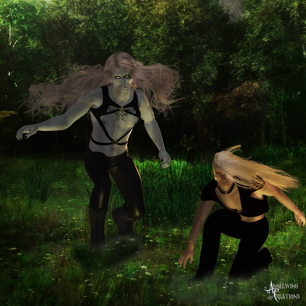 The Woods