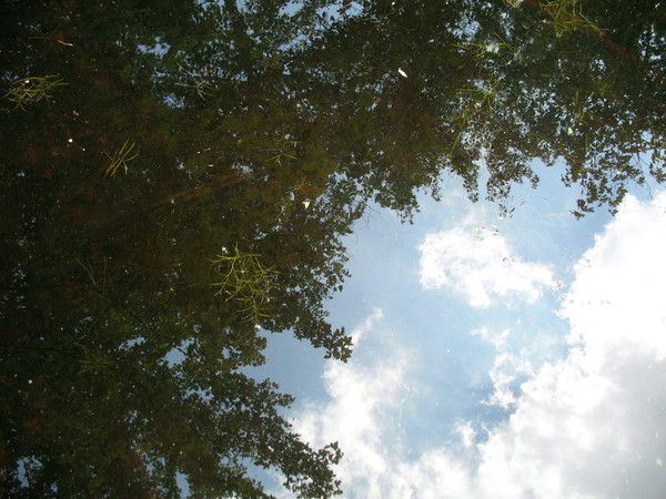 Reflected
