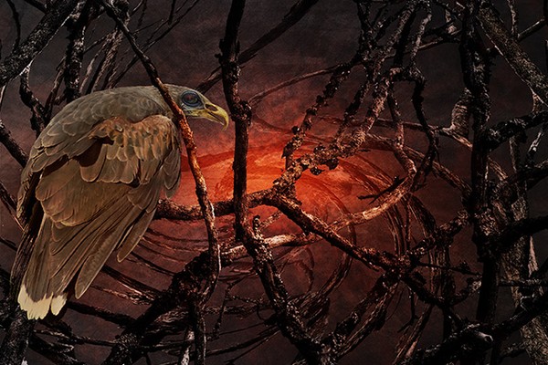 Composition No. 3