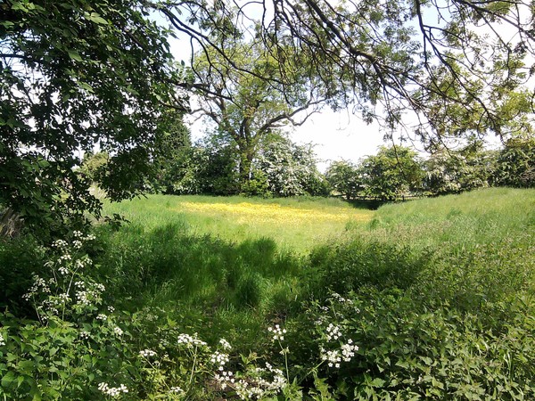 English countryside