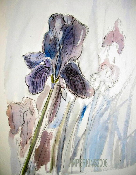 IRIS