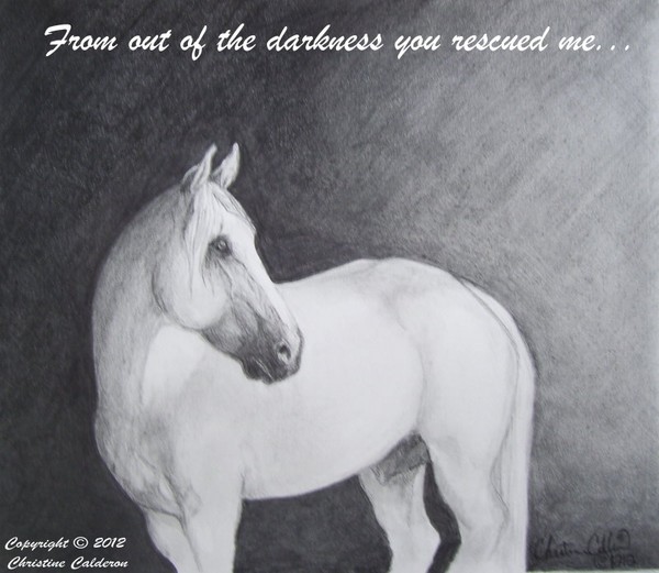 From Out Of The Darkness...