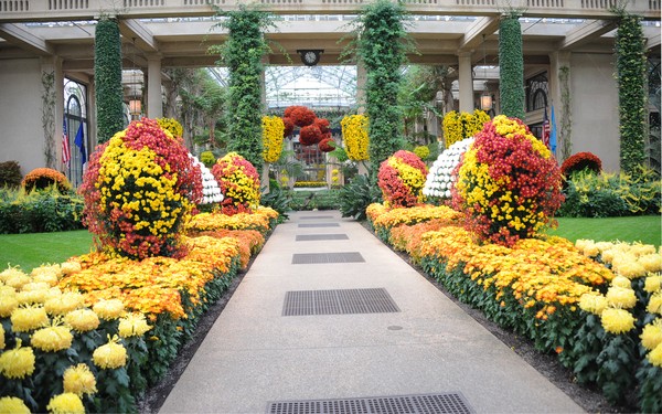 Fall Longwood Conservatory