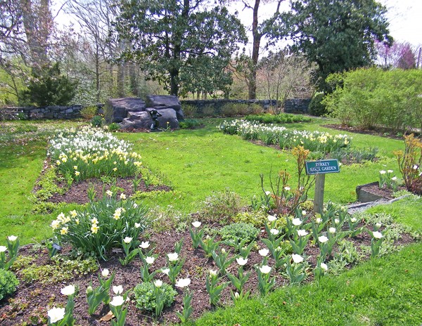 Turkey Rock Garden