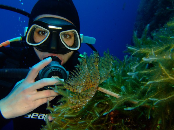 Tubeworm and human