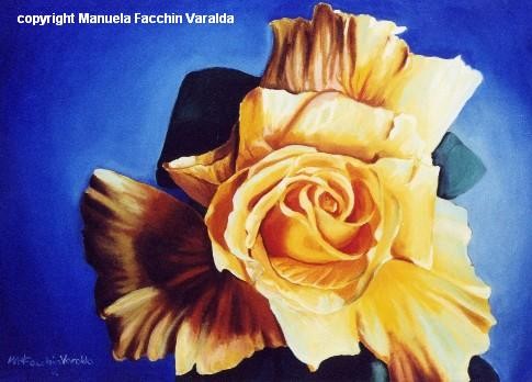 Yellow rose