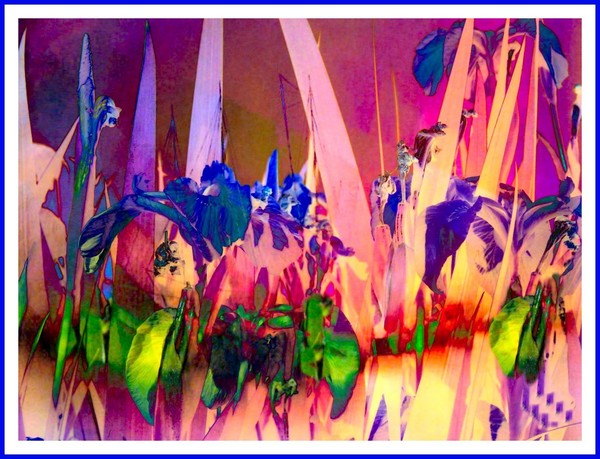 Abstract Iris